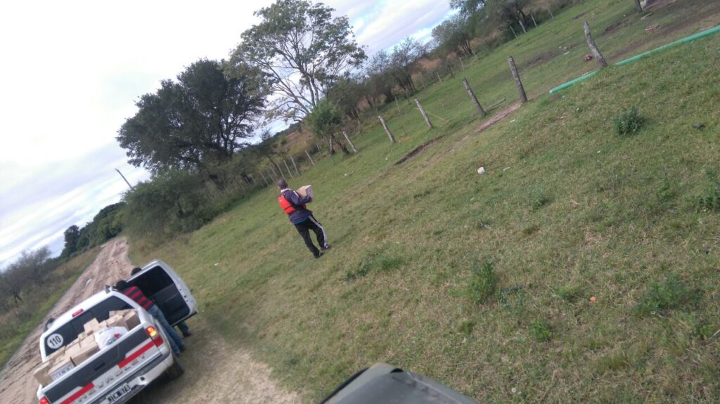 Conduciendo a Conciencia